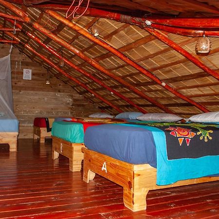 Hostel La Ballena Backpacker Las Galeras Eksteriør billede