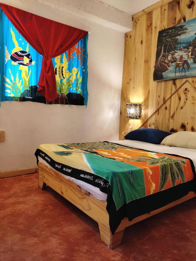 Hostel La Ballena Backpacker Las Galeras Eksteriør billede