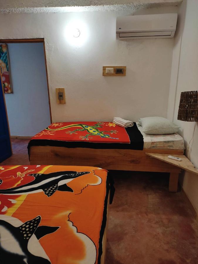 Hostel La Ballena Backpacker Las Galeras Eksteriør billede