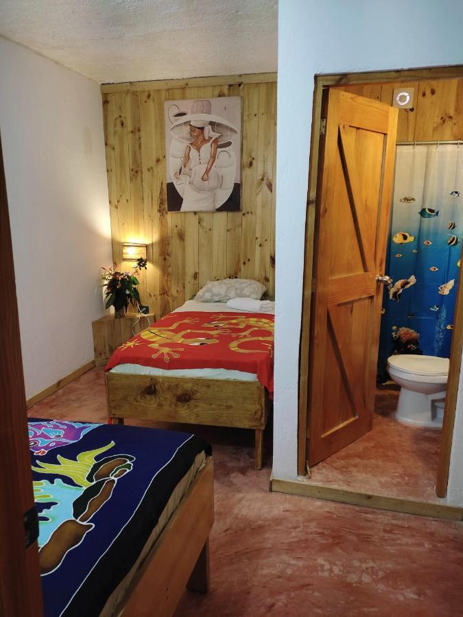 Hostel La Ballena Backpacker Las Galeras Eksteriør billede