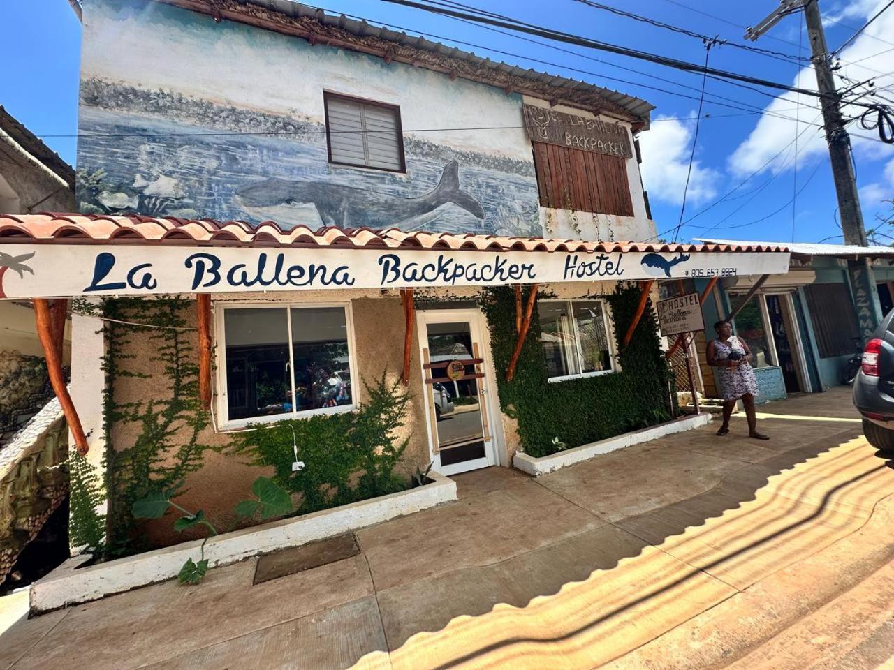 Hostel La Ballena Backpacker Las Galeras Eksteriør billede