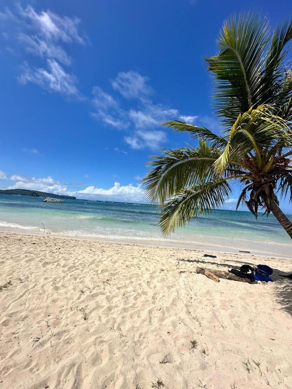 Hostel La Ballena Backpacker Las Galeras Eksteriør billede