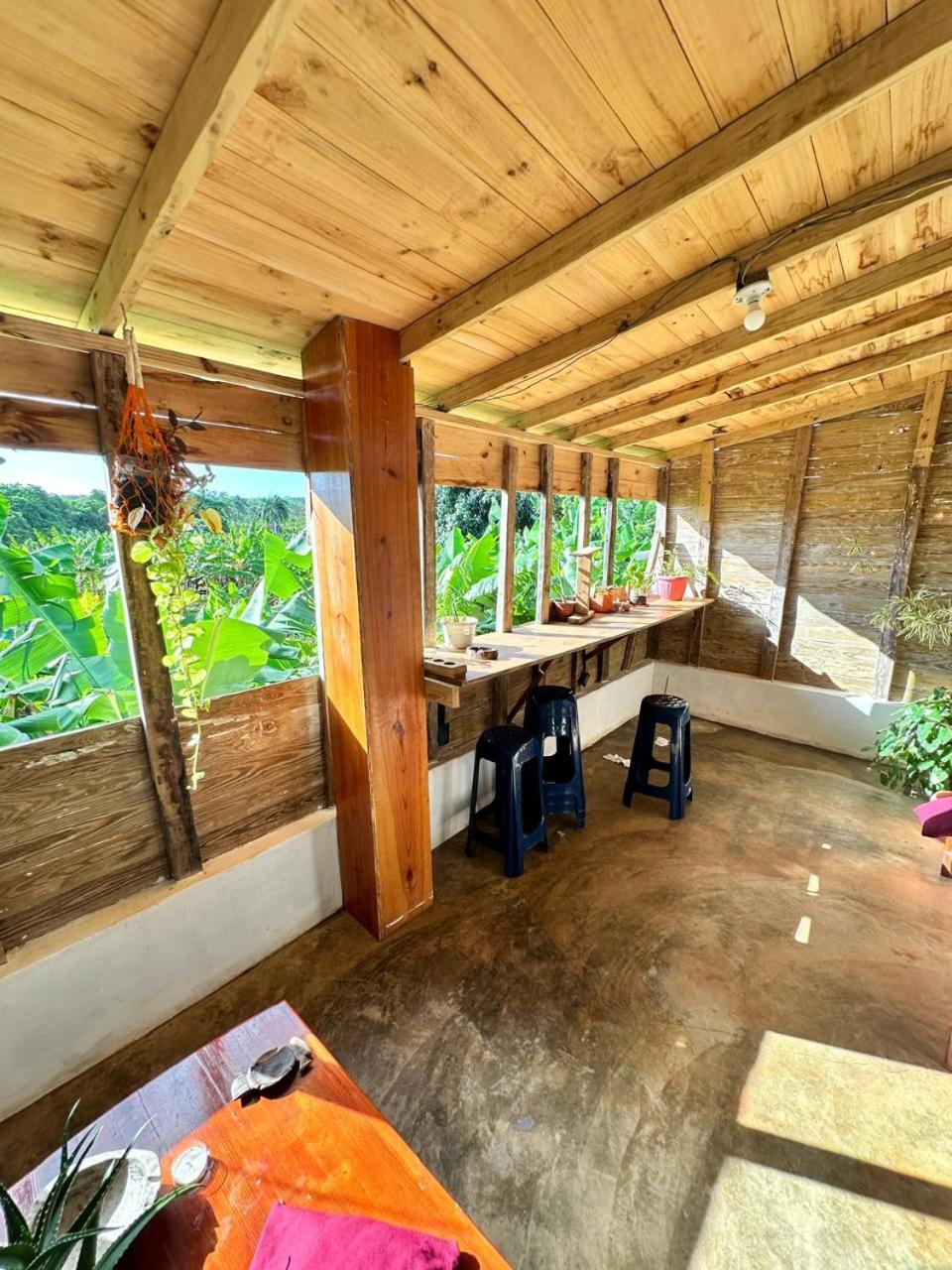 Hostel La Ballena Backpacker Las Galeras Eksteriør billede