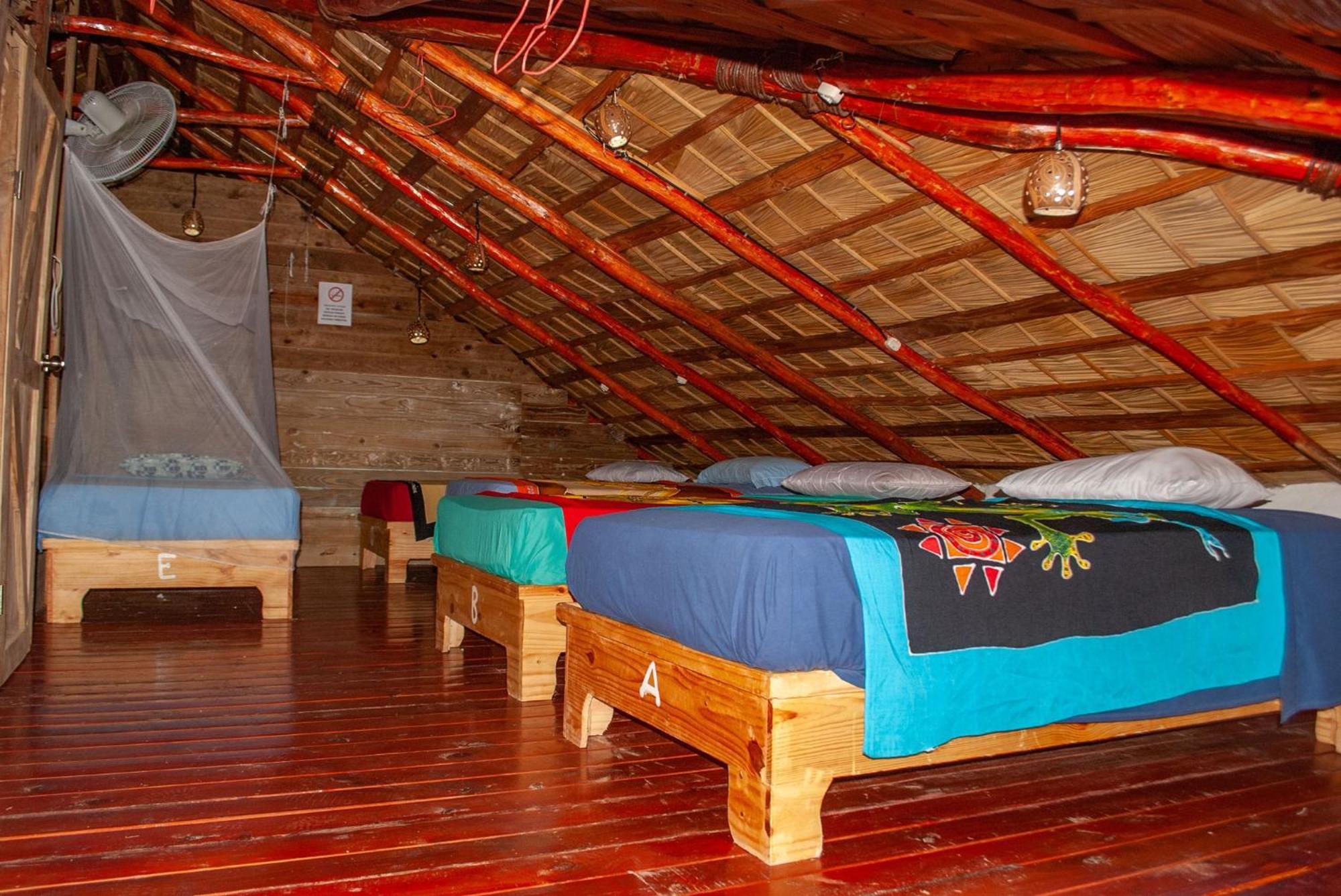 Hostel La Ballena Backpacker Las Galeras Eksteriør billede