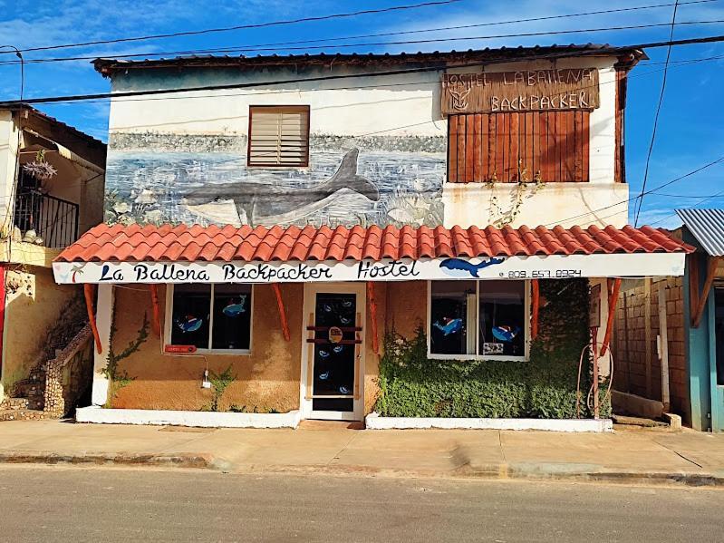 Hostel La Ballena Backpacker Las Galeras Eksteriør billede