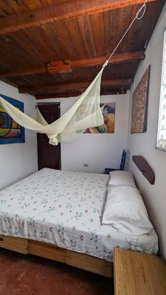 Hostel La Ballena Backpacker Las Galeras Eksteriør billede