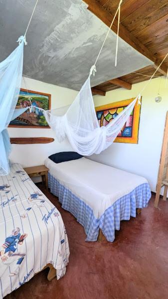 Hostel La Ballena Backpacker Las Galeras Eksteriør billede